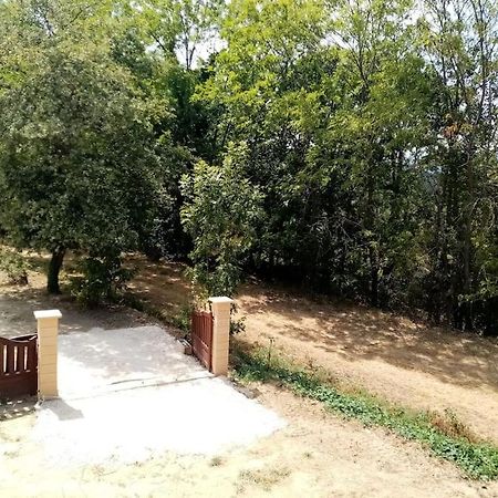 Chalet El Cant Dels Ocells Fillols Buitenkant foto